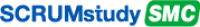 Scrum Master Certified Course-2 Days